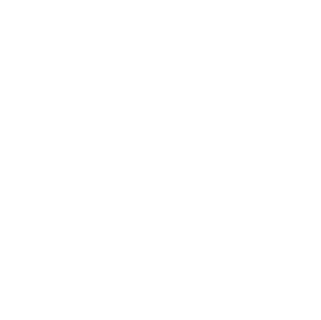 BagaBaga_LogoWhite